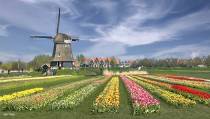 Een prachtig Hollands plaatje