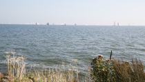 Vastgoed Regatta voor de kust van Volendam