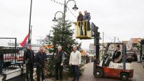 ’t Lokkemientje sponsort de kerstbomen aan de Haven