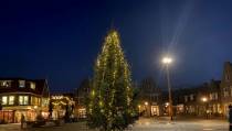‘Baltus kerstboom’ siert Europaplein