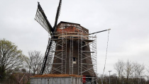 Rietdekkers vernieuwen kap van Edamse molen